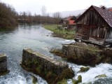 10. Tonković vrilo